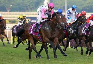 Debt Collector (NZ) collecting the money in the Queen Elizabeth II Cup. Photo: Singapore Turf Club
